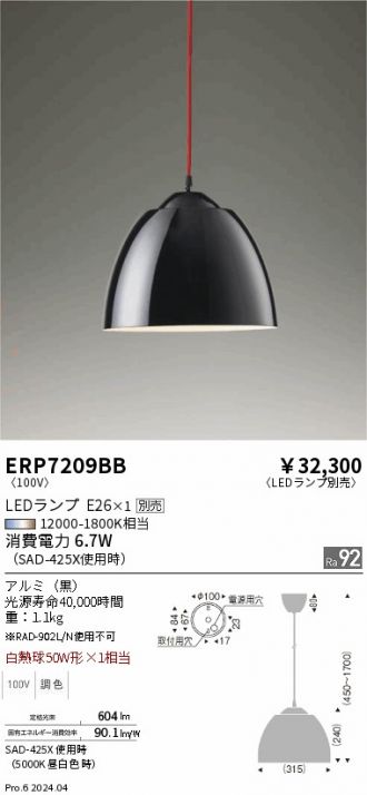 ERP7209BB