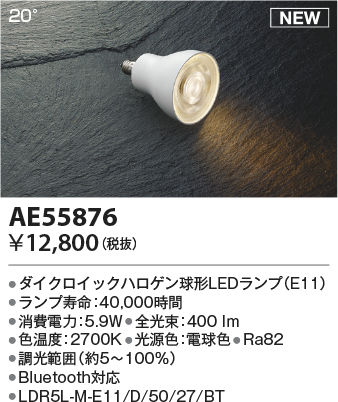 AE55876