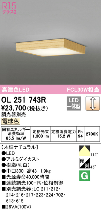 ODELIC オーデリック LEDポーチライト(別売人検知カメラ対応・別売センサー対応) OG254257R - 3