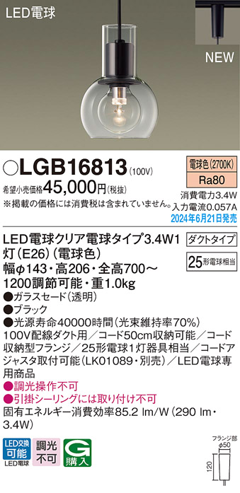 LGB16813